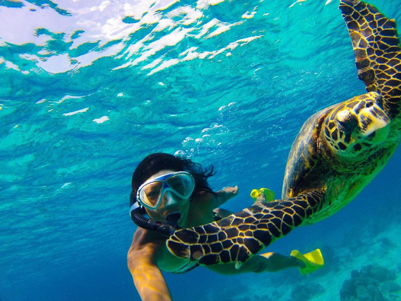 Snorkeling Adventure — photo 7