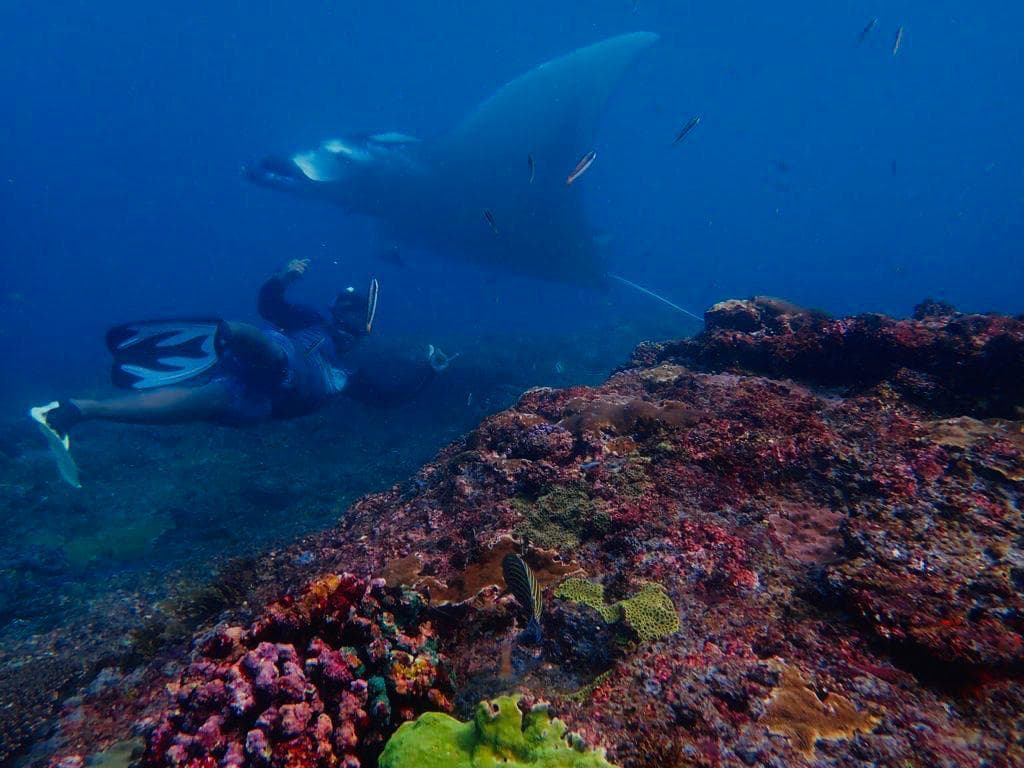 Snorkeling — photo 12