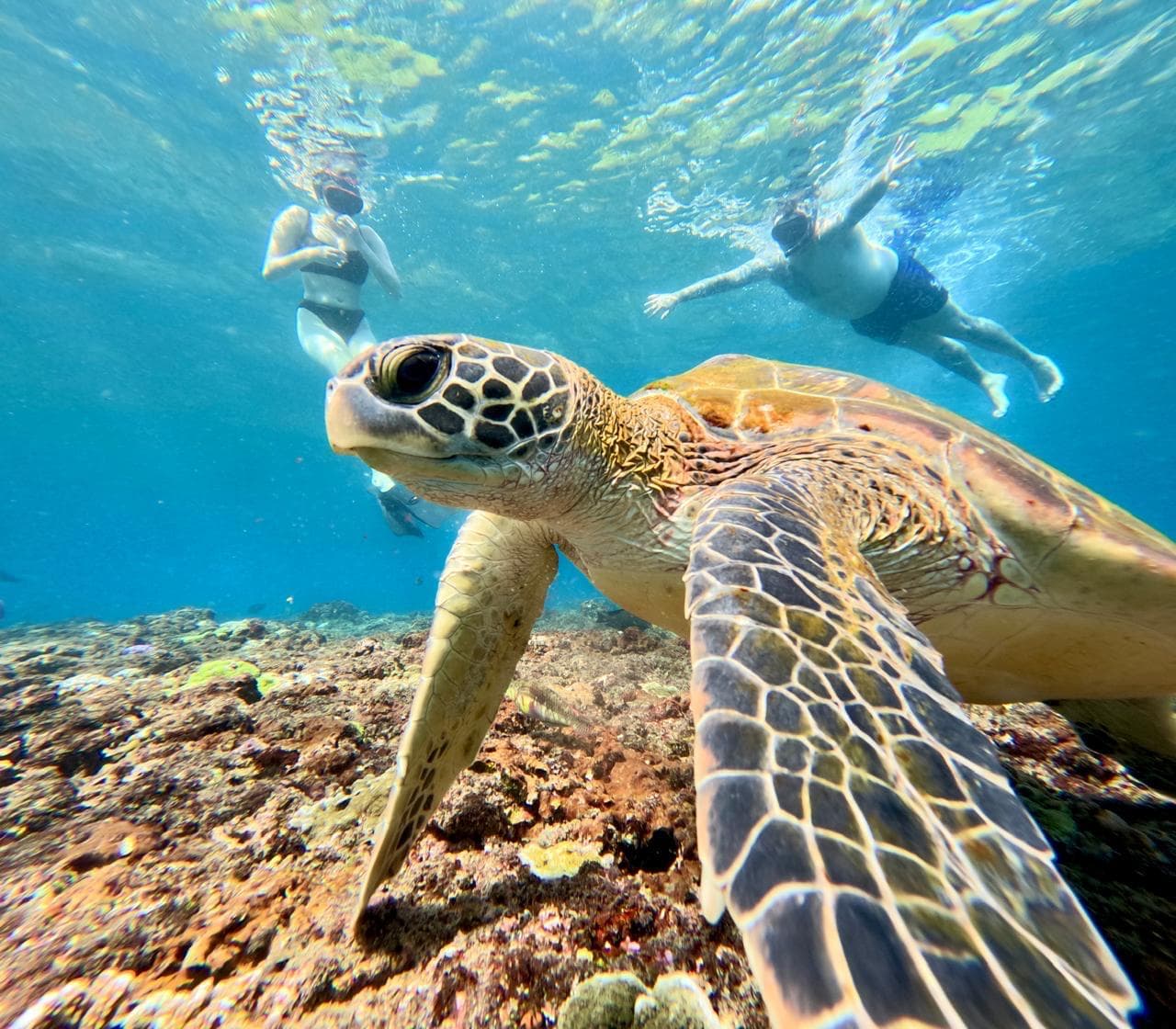 Snorkeling — photo 8
