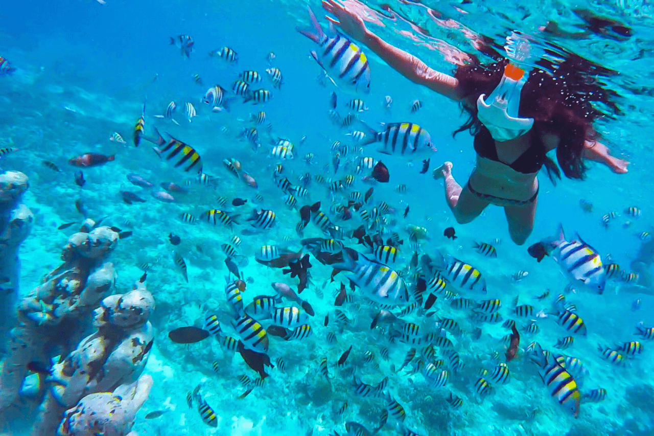 Secret Gili Snorkelling Tour — photo 2