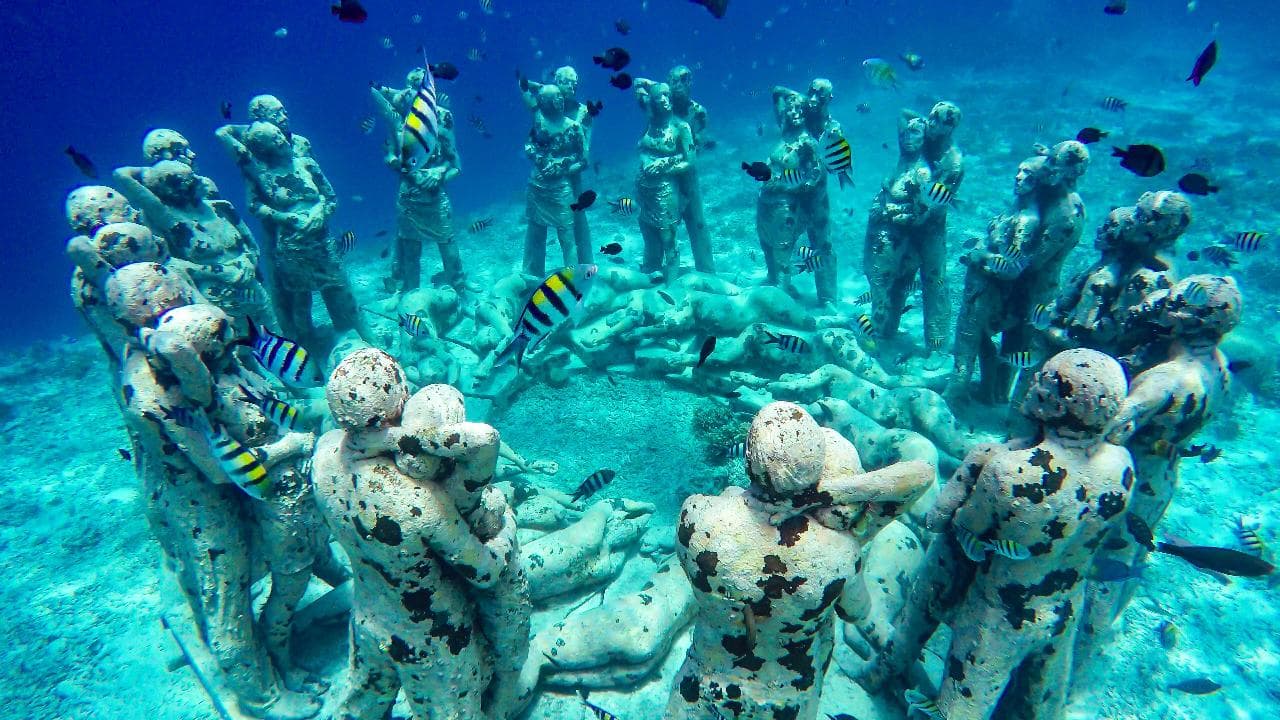 Snorkeling Adventure — photo 3