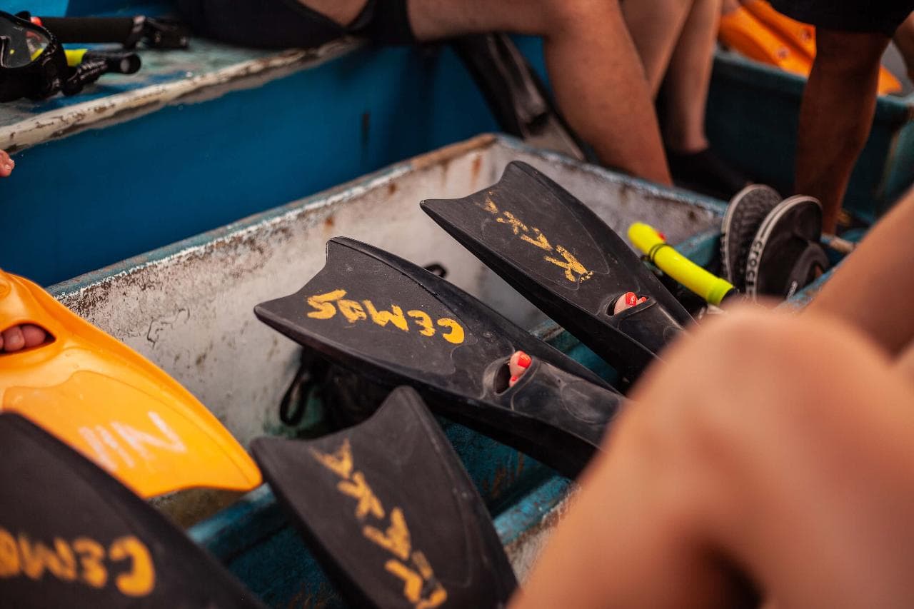 Snorkeling Adventure — photo 5