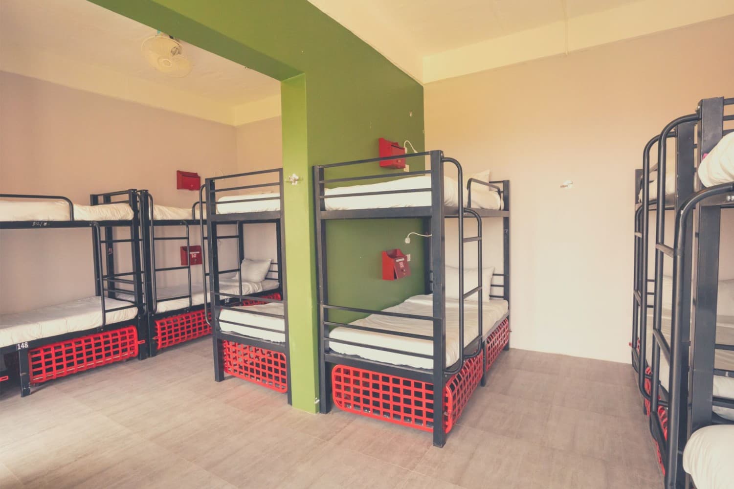 Standard 12 Bed Dorm