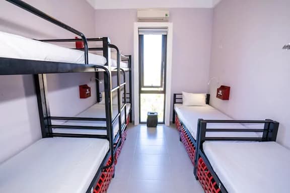Standard 6-Bed Dorm